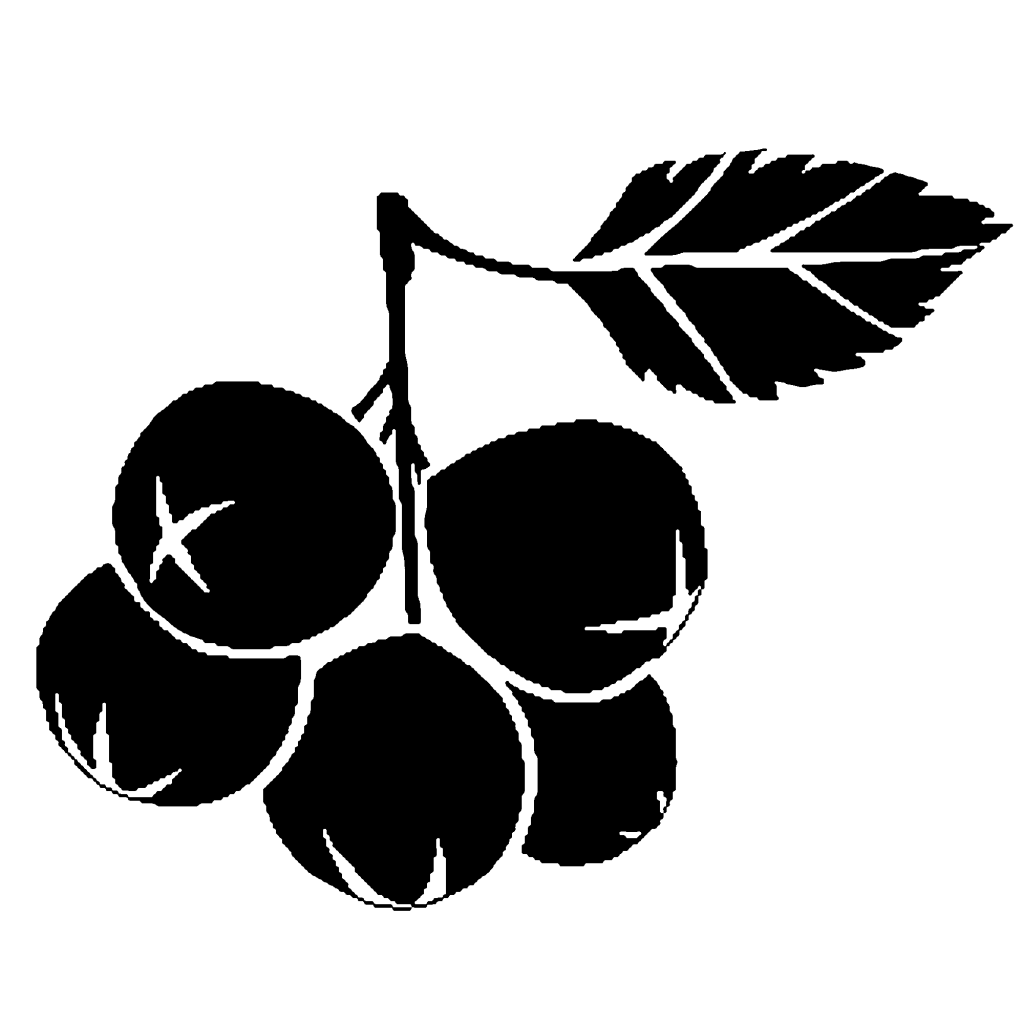 berriesbig (002)